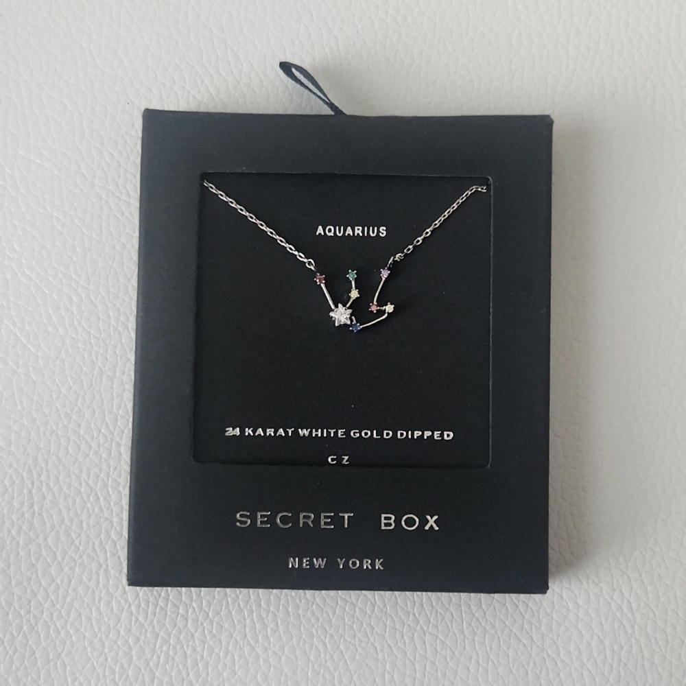 Aquarius Zodiac White Gold Necklace